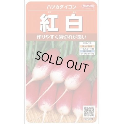 画像1: 送料無料　[大根]　はつかだいこん　紅白　約525粒　(株)サカタのタネ　実咲250（003095）