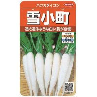 送料無料　[大根]　はつかだいこん　雪小町　約550粒　(株)サカタのタネ