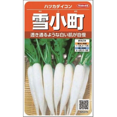 画像1: 送料無料　[大根]　はつかだいこん　雪小町　約550粒　(株)サカタのタネ