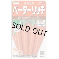 送料無料　[人参]　ベーターリッチ　ペレット　約350粒　(株)サカタのタネ　実咲450（003107）