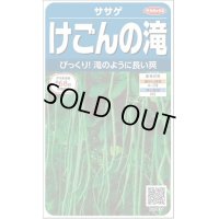 送料無料　[豆類]　ササゲ　けごんの滝　約35粒　(株)サカタのタネ実咲250（003126）