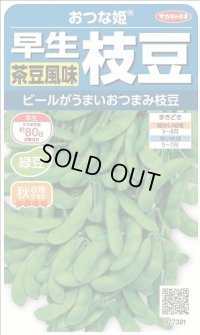 送料無料　[枝豆]　おつな姫　約50粒　(株)サカタのタネ　実咲350（003155）