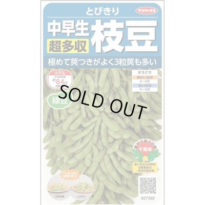 画像1: 送料無料　[枝豆]　とびきり　約40粒　(株)サカタのタネ　実咲350（003156）