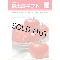 送料無料　[トマト/桃太郎系]　桃太郎ギフト　1000粒　貴種(コートしてません)　タキイ種苗(株)