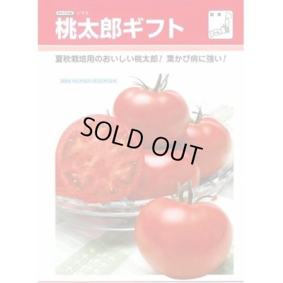 画像3: 送料無料　[トマト/桃太郎系]　桃太郎ギフト　1000粒　2L　ペレット種子　タキイ種苗(株)