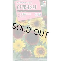 送料無料　花の種　ひまわり　F1　モネ　パレット　小袋　タキイ種苗(株)