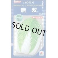 送料無料　[白菜]　無双　20ml　タキイ種苗(株)