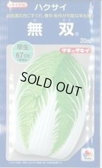 送料無料　[白菜]　無双　20ml　タキイ種苗(株)