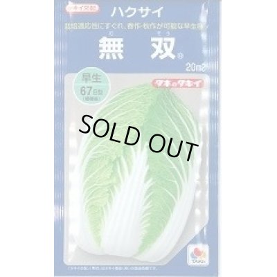 画像1: 送料無料　[白菜]　無双　20ml　タキイ種苗(株)