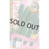 送料無料　[キュウリ]　なるなる　18粒　ナント種苗(株)