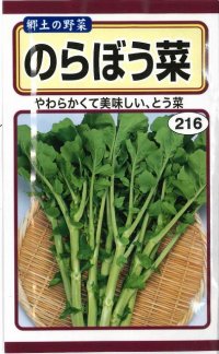 送料無料　[葉物]　のらぼう菜　10ml　(およそ2,880粒)(株)　トーホク