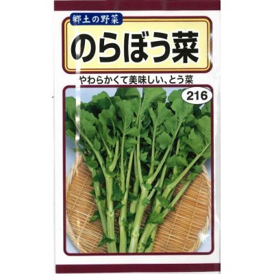 画像1: 送料無料　[葉物]　のらぼう菜　10ml　(およそ2,880粒)(株)　トーホク