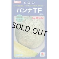 送料無料　[メロン]　パンナＴＦ　100粒　タキイ種苗(株)