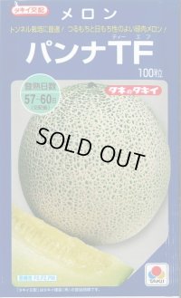 送料無料　[メロン]　パンナＴＦ　100粒　タキイ種苗(株)