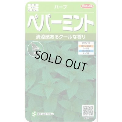 画像1: 送料無料　[ハーブの種]　ペパーミント　約1300粒　(株)サカタのタネ　実咲（003190）