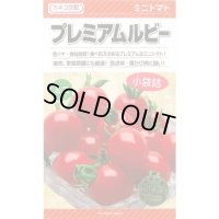 送料無料　[トマト/ミニトマト]　プレミアムルビー　11粒　カネコ交配