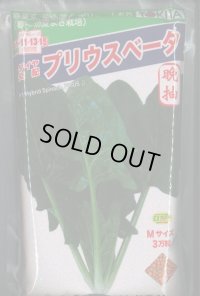 [ほうれんそう]　ほうれんそう　プリウスベータ　　3万粒（種子サイズ：Ｍ）　トキタ種苗(株)