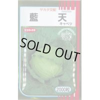 送料無料　[キャベツ]　藍天　2000粒　（株）サカタのタネ