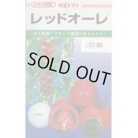 送料無料　[トマト/中玉トマト]　レッドオーレ　100粒　カネコ交配