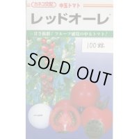 送料無料　[トマト/中玉トマト]　レッドオーレ　100粒　カネコ交配