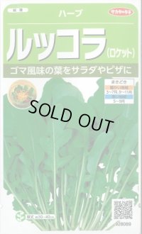 送料無料　[ハーブの種]　ロケット(ルッコラ)　約700粒　(株)サカタのタネ　実咲（003195）