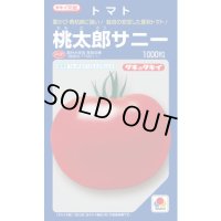 送料無料　[トマト/桃太郎系]　桃太郎　サニー　1000粒　貴種(コートしてません)　タキイ種苗(株)