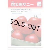 送料無料　[トマト/桃太郎系]　桃太郎　サニー　1000粒　	2L　ペレット種子　タキイ種苗(株)