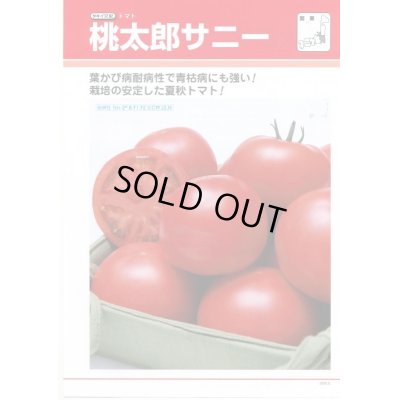 画像1: 送料無料　[トマト/桃太郎系]　桃太郎　サニー　1000粒　	2L　ペレット種子　タキイ種苗(株)