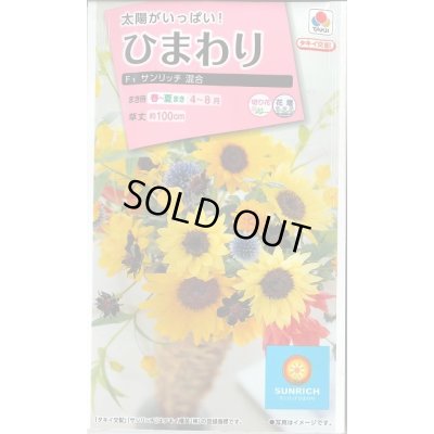 画像1: 送料無料　花の種　ひまわり　サンリッチ混合　小袋　タキイ種苗(株)