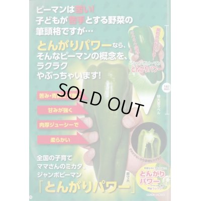 画像3: 送料無料　[ピーマン]　とんがりパワー　500粒　ナント種苗(株)