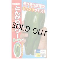 送料無料　[ピーマン]　とんがりパワー　20粒　ナント種苗(株)