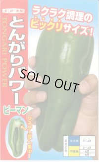 送料無料　[ピーマン]　とんがりパワー　20粒　ナント種苗(株)