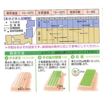 画像3: 送料無料　[ほうれんそう]　トライ　1dl　タキイ種苗(株)