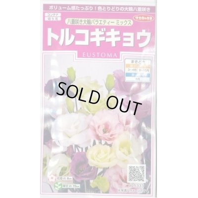 画像1: 送料無料　花の種　トルコギキョウ　八重咲き大輪バラエティミックス　約40粒　　(株)サカタのタネ　実咲350（026121）