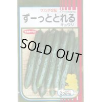 送料無料　[キュウリ]　ずーっととれる　350粒　(株)サカタのタネ