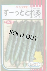 送料無料　[キュウリ]　ずーっととれる　350粒　(株)サカタのタネ