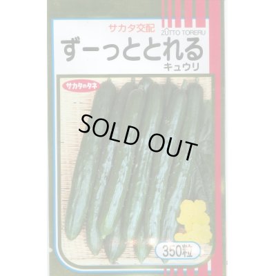 画像1: 送料無料　[キュウリ]　ずーっととれる　350粒　(株)サカタのタネ