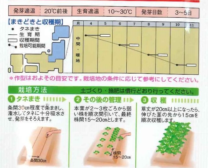 葉物 健康野菜 おかのり 小袋 タキイ交配 野菜種 葉物 グリーンロフトネモト直営