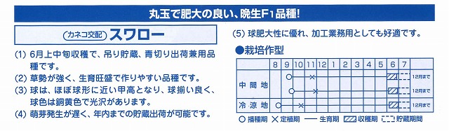 たまねぎ] スワロー 20ml カネコ交配(野菜種/たまねぎ)グリーンロフトネモト直営