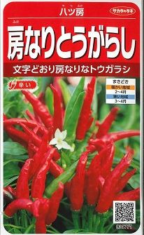 とうがらし 八ツ房 小袋 サカタのタネ 実咲シリーズ 野菜種 ピーマン とうがらし グリーンロフトネモト直営