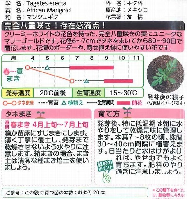 花種 小袋 アフリカンマリーゴールド バニラ 小袋 タキイ種苗 花種 花種 小袋 春まき グリーンロフトネモト直営