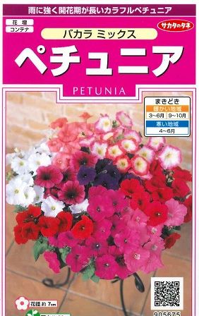 花種 小袋 ペチュニア バカラミックス 小袋 サカタのタネ 花種 花種 小袋 秋まき グリーンロフトネモト直営