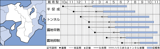 なす ｓｌ紫水 1000粒 タキイ交配 野菜種 なす グリーンロフトネモト直営