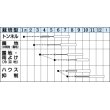 画像2: 送料無料　[トマト/桃太郎系]　桃太郎　1000粒　貴種(コートしてません)　タキイ種苗 (2)