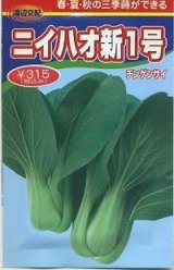 画像: 送料無料　[中国野菜]　チンゲンサイ　ニイハオ新1号　750粒　渡辺農事