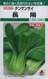 画像: 送料無料　[中国野菜]　チンゲンサイ　長陽　20ml　タキイ種苗(株)