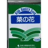 画像: [景観形成作物]　菜の花　500g　カネコ種苗