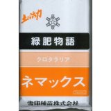 画像: [緑肥]　クロタラリア　ネマックス　1kg　雪印種苗(株)