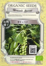 画像: 有機種子　芽キャベツ　固定種　0.5ｇ(約100粒)　(株)グリーンフィールドプロジェクト