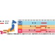 画像2: 送料無料　花の種　アスター　松本スカーレット　約190粒　(株)サカタのタネ　実咲250（026205） (2)